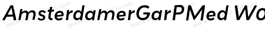 AmsterdamerGarPMed W05 Italic字体转换